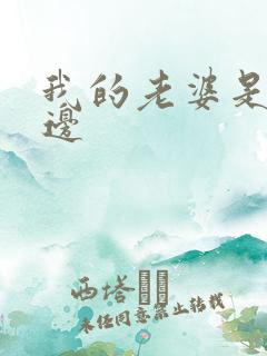 我的老婆是蕾丝边