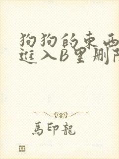 狗狗的东西直接进入B里删除