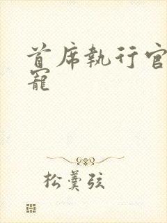 首席执行官的绝宠