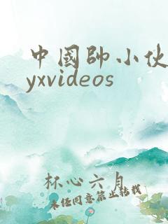 中国帅小伙gayxvideos