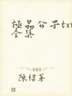 极品公子txt全集