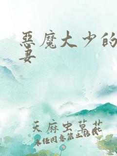 恶魔大少的小鲜妻