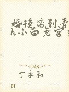 婚后脔到青梅哭h小白兔宫交h