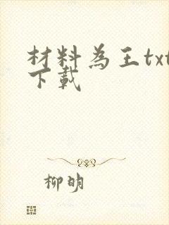 材料为王txt下载