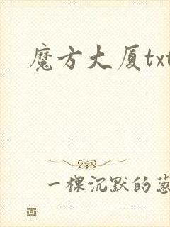 魔方大厦txt