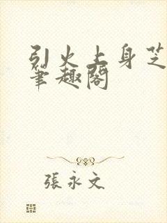 引火上身芝麻糖笔趣阁