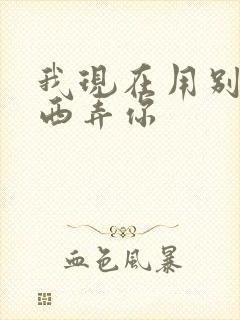 我现在用别的东西弄你