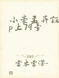 小豪孟卉钰慧三p上79章