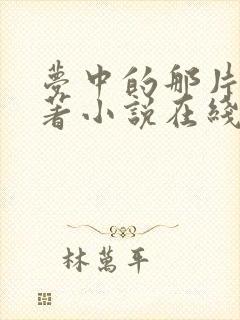 梦中的那片海原著小说在线阅读