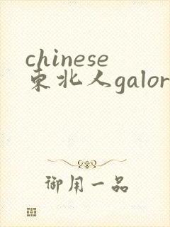 chinese东北人galore
