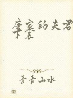 唐家的夫君们帘下衾