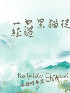 一只黑猫从眼前经过