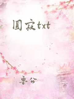 圆寂txt