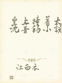 皇上撞着太子妃沈音的小说叫什么