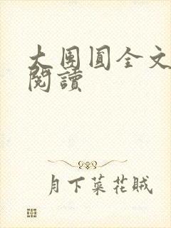 大团圆全文完整阅读