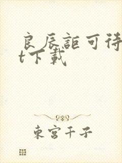 良辰讵可待txt下载