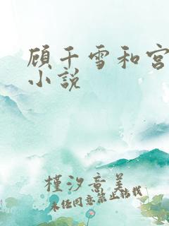 顾千雪和宫凌沨小说