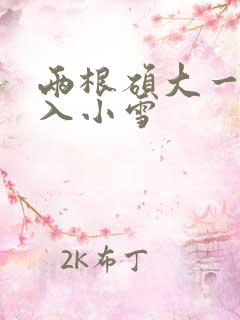 两根硕大一起挤入小雪