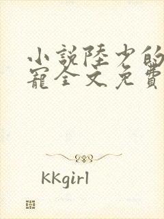 小说陆少的心尖宠全文免费阅读