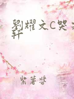 刘耀文C哭宋亚轩