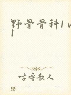 野骨骨科1 v1
