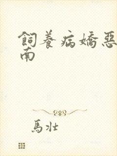 饲养病娇恶龙指南