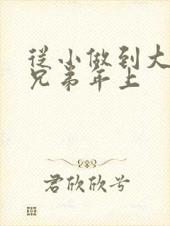 从小做到大骨科兄弟年上