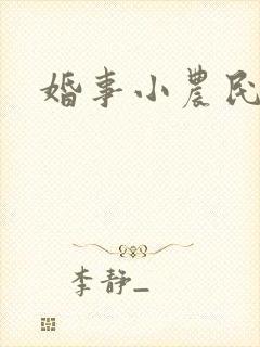 婚事小农民