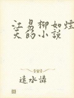 江易柳如烟秦少天的小说