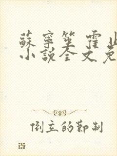 苏宁笙 霍止行小说全文免费阅读