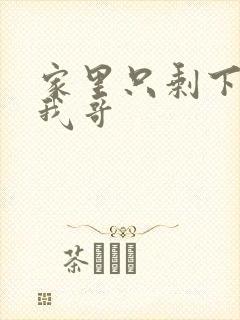 家里只剩下我和我哥