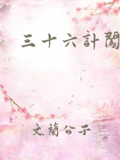 三十六计闯官场