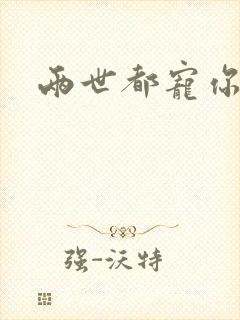 两世都宠你小说