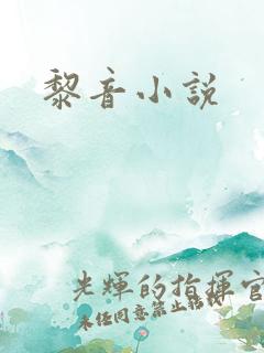 黎音小说
