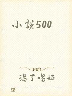小说500