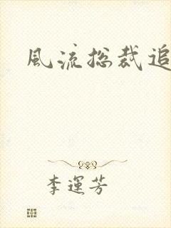 风流总裁追妻记