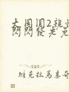 大团圆2亲情会闪闪发光免费