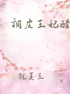 调皮王妃醋王爷