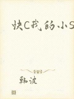 快C我的小SB