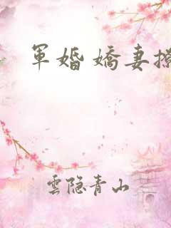 军婚 娇妻撩人