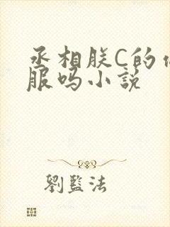 丞相朕C的你舒服吗小说