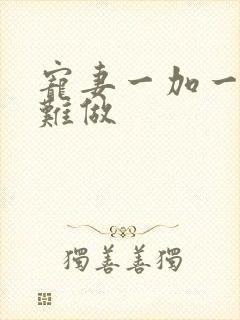 宠妻一加一老婆难做