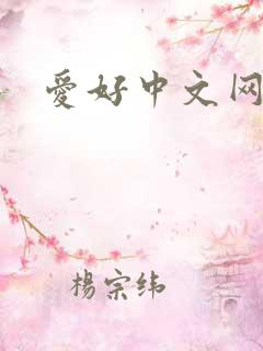 爱好中文网