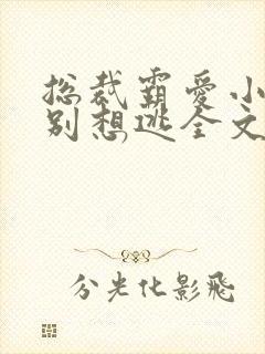 总裁霸爱小娇妻别想逃全文阅读免费