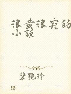 很黄很宠的总裁小说