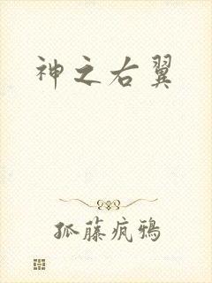 神之右翼
