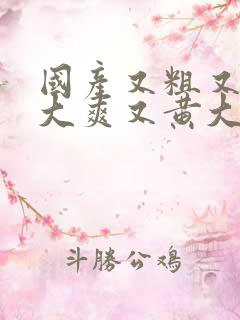 国产又粗又猛又大爽又黄大爷