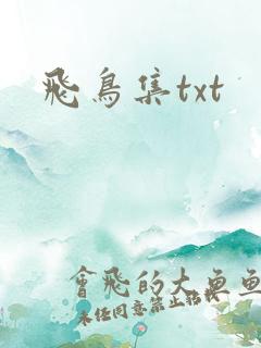 飞鸟集txt