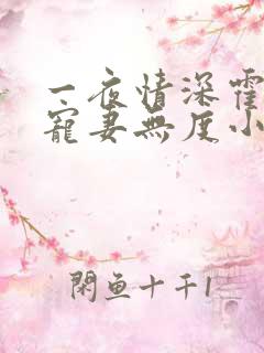 一夜情深霍先生宠妻无度小说免费阅读