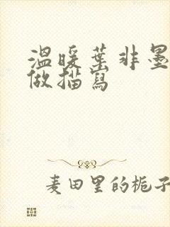 温暖叶非墨车内做描写